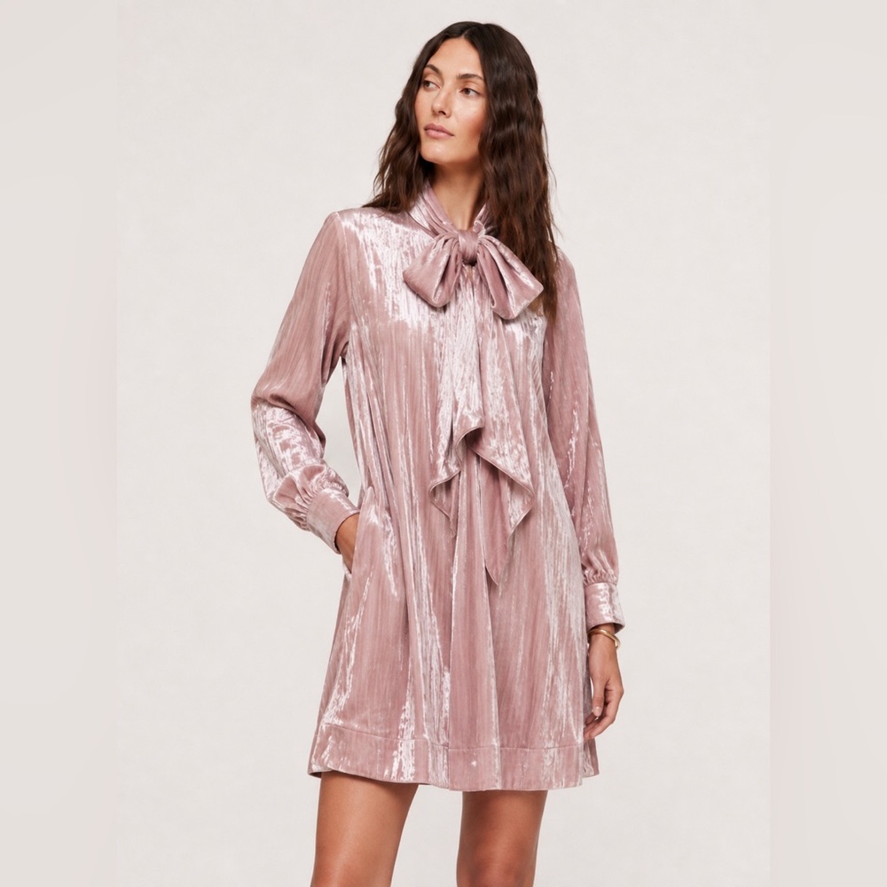 NWT! Anthropologie The Caroline Tie-Neck Mini Dress by Maeve - Size Small 🍯